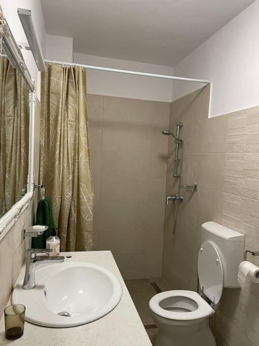 Holiday home Casa Elena, Ocna Mures